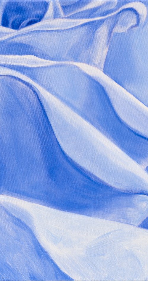 Blue Rose by Ara Youn