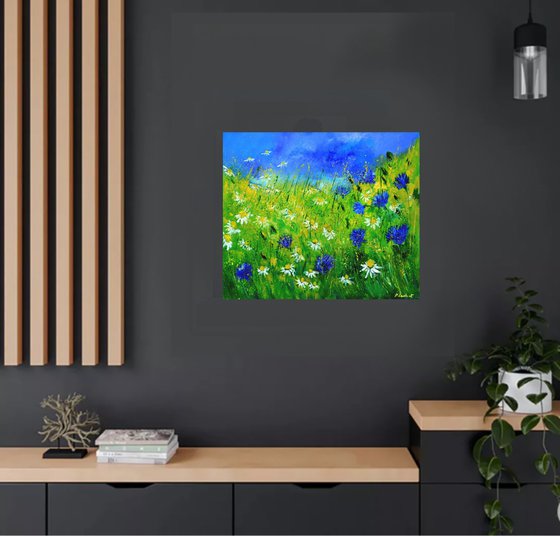 Cornflowers and daisies