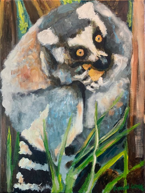 Ring Tailed Lemur Eating by Ryan  Louder