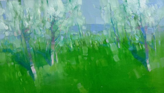 Blossom Trees