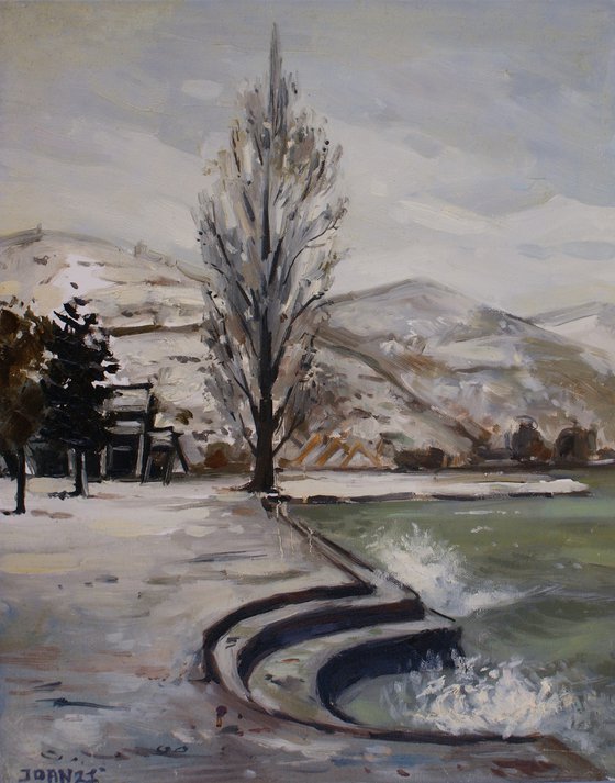 The Old Poplar in Winter