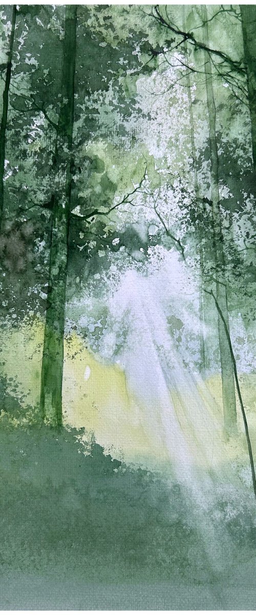 Summer landscape by Nazar Grunyka