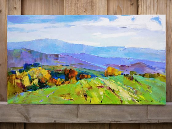 Sunny day . Mountain fields . Original oil painting