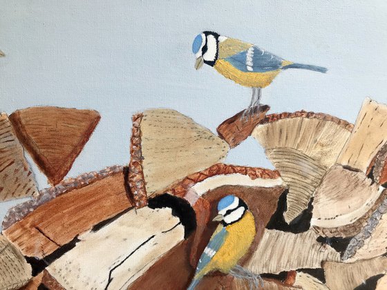 BIRDS OF A FEATHER, BLUE TITS