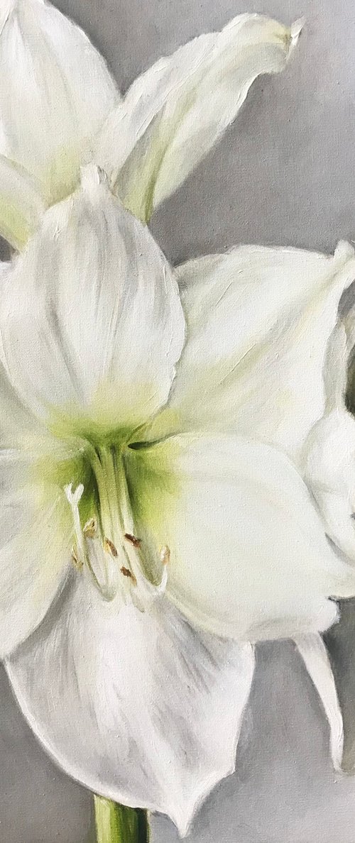 Oil painting with white flowers 30*30 cm by Irina Ivlieva