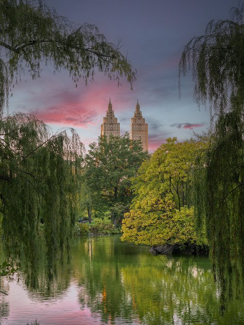 Central Park by Nick Psomiadis