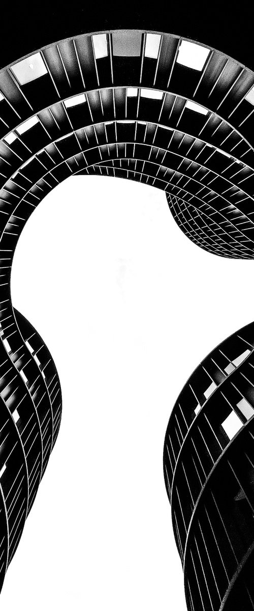 Asymmetrical Symmetry by Gilliard Bressan