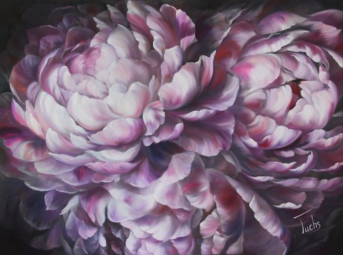 Peonies in the night by Diana Tuchs
