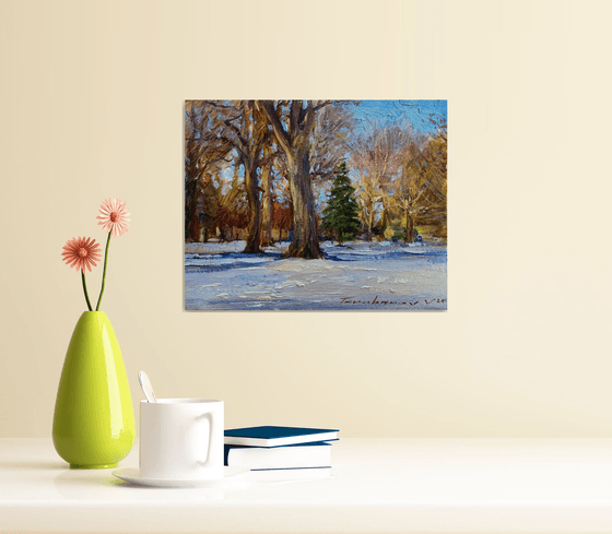 A sunny winter afternoon