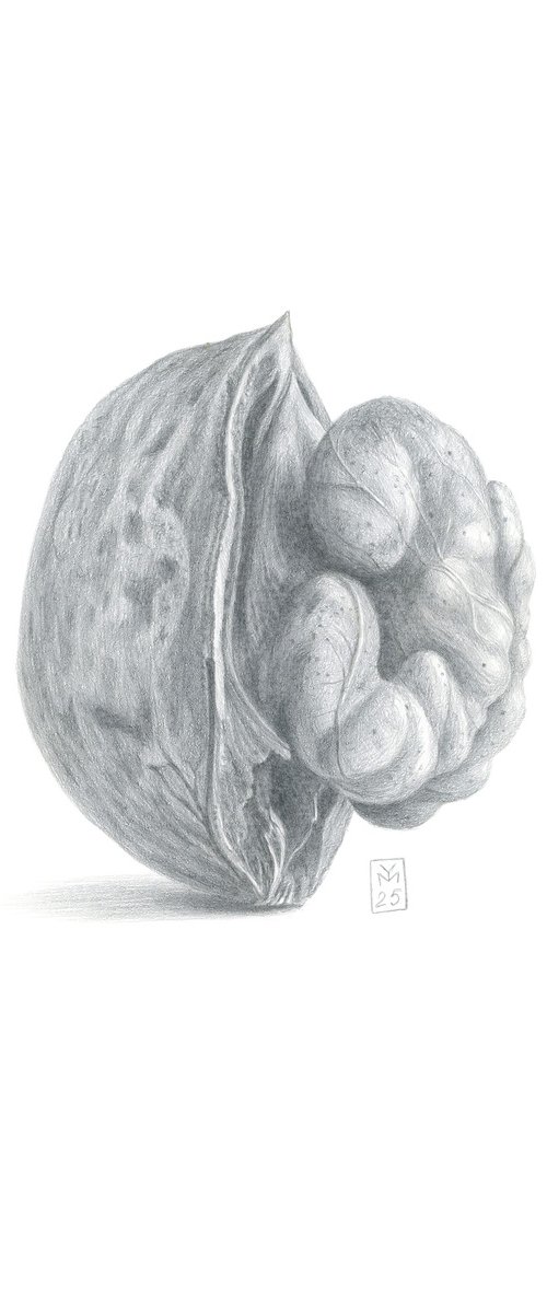 Walnut, Upright by Yuliia Moiseieva