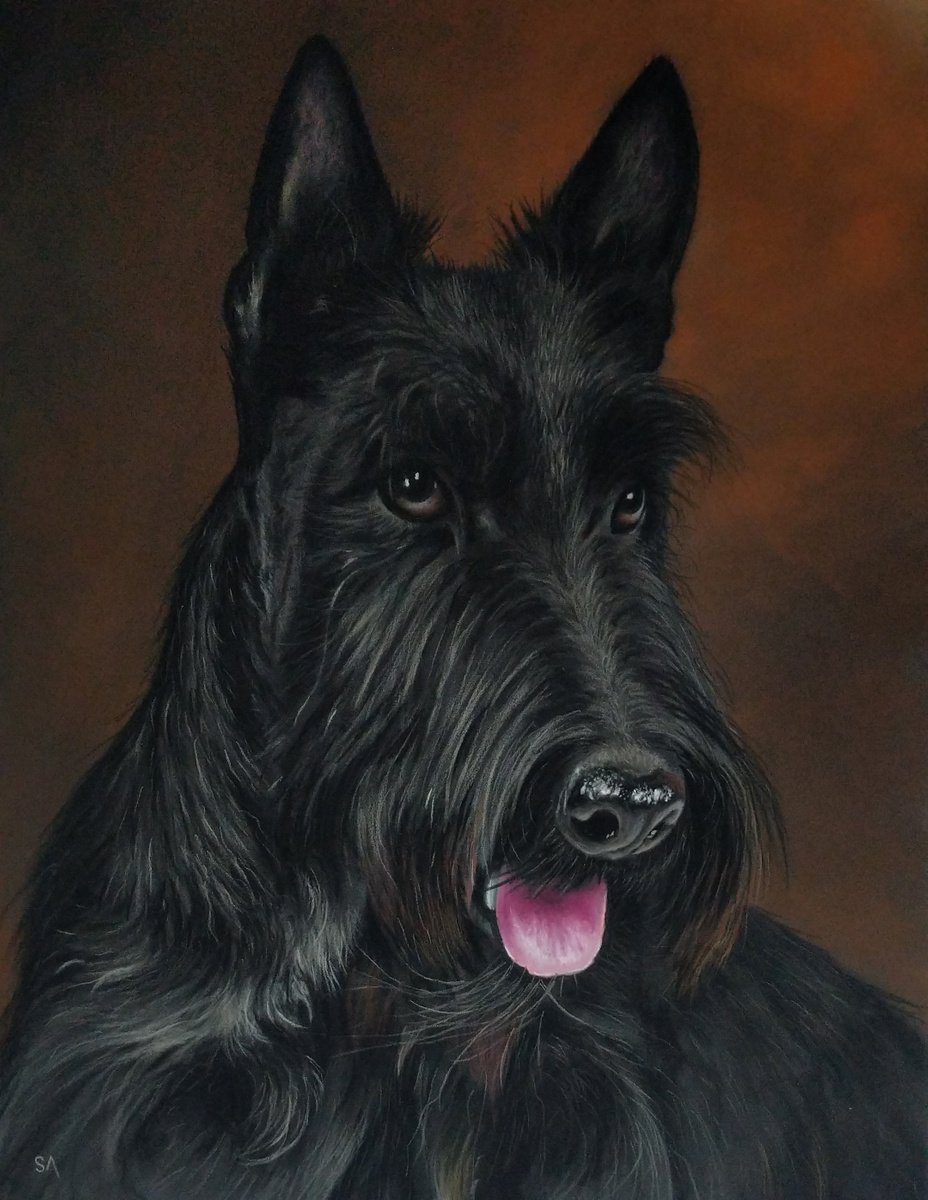 Scottish Highland Terrier ll (Original Painting) by Sean Afford