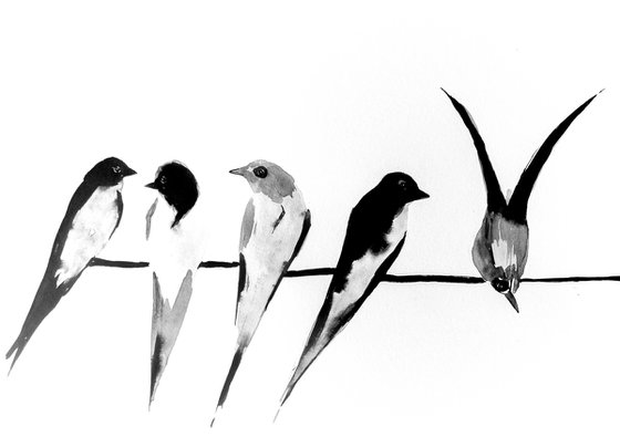 Birds