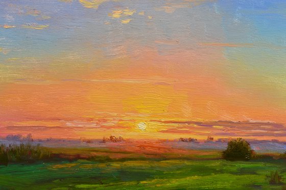 Dawn in the meadow