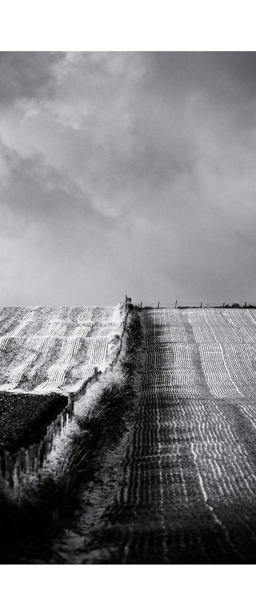 February Fields by David Baker