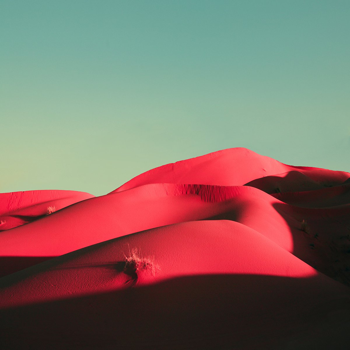 Photorealistic Landscape Photograph By Nadia Attura, 20 X 20", Sahara Call, Original Artwork