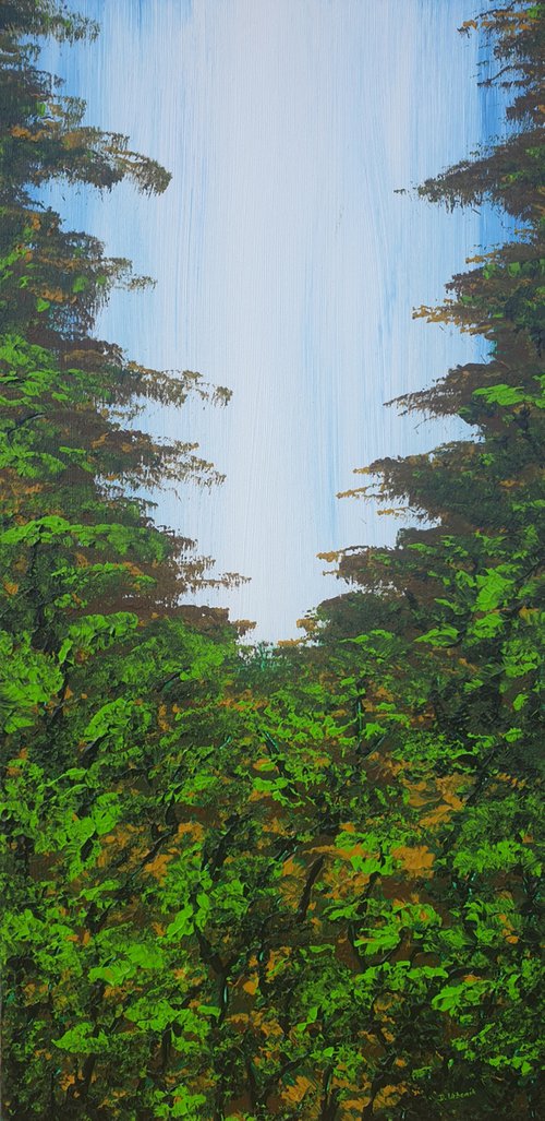 Nice Forest 3 by Daniel Urbaník