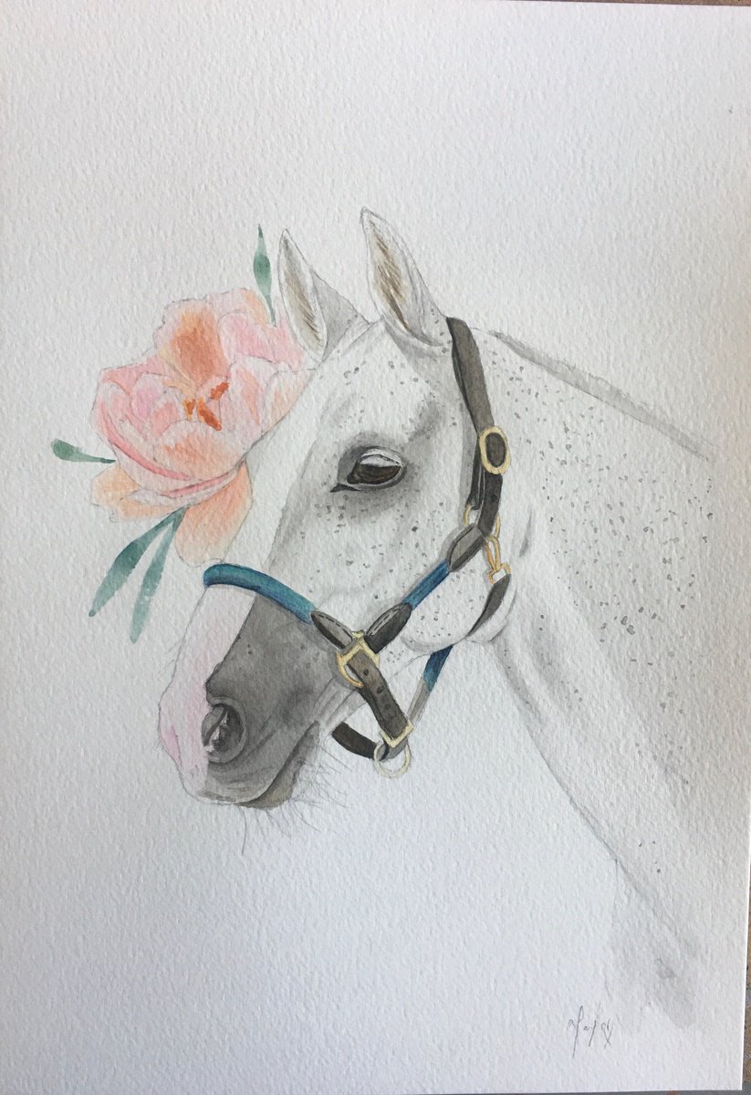 Horse and peony by Amelia Taylor