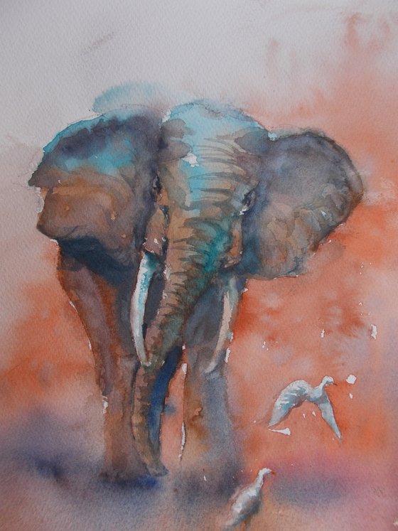 elephant 4