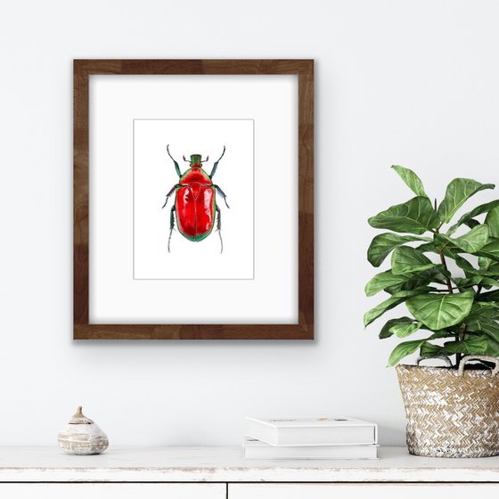 Red beetle. Original watercolour artwork.