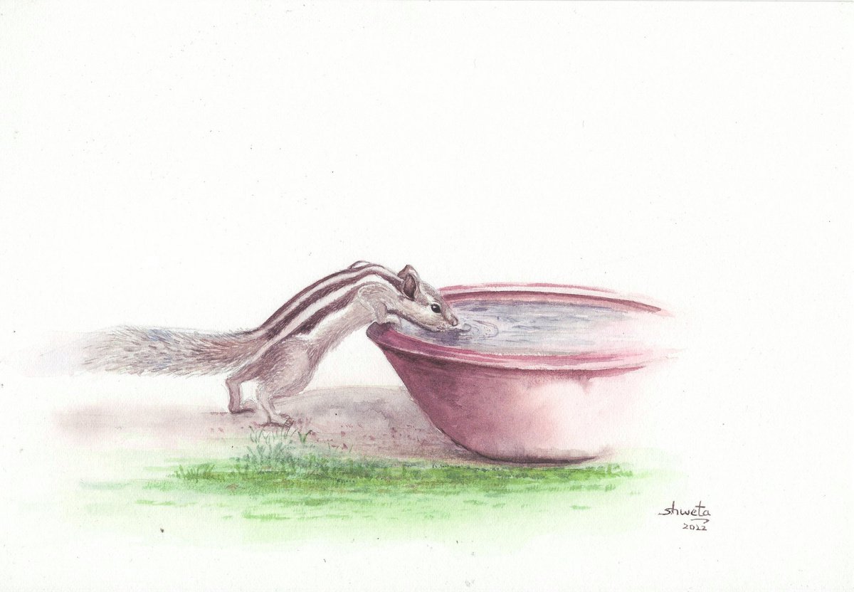 Thirsty Squirrel Watercolor Painting by Shweta Mahajan