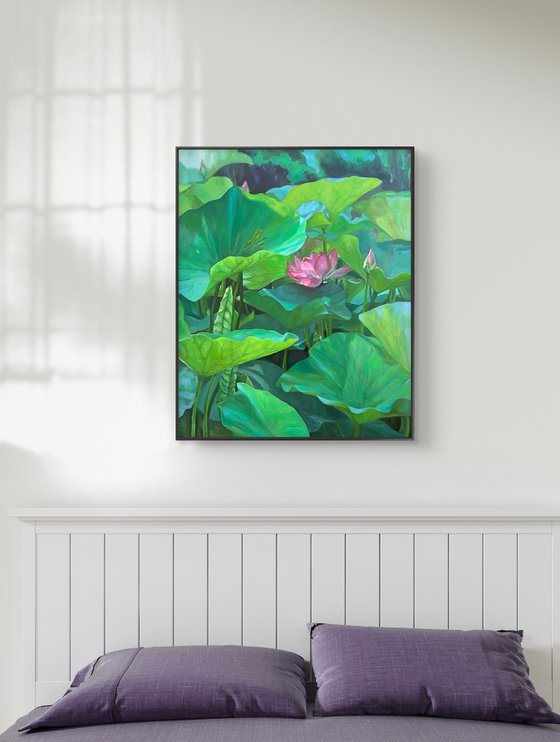 Blooming lotuses. Maturity