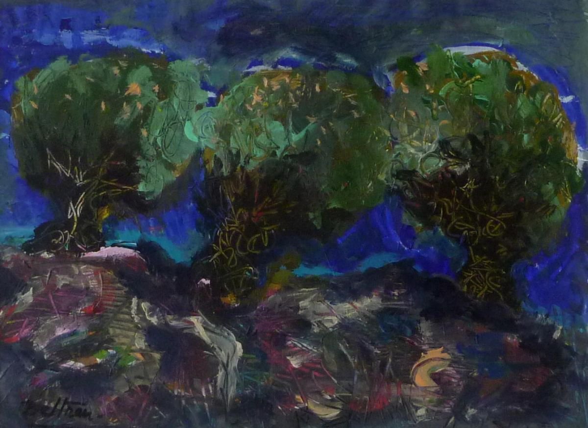 Les oliviers dans la nuit by Pierre-Yves Beltran