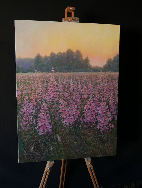 Sunset Over The Fireweed Field - summer painting landscape