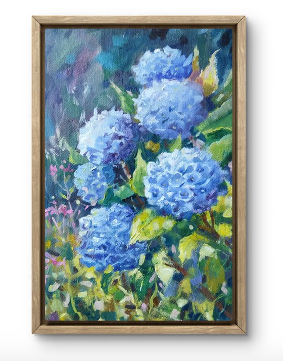 Hydrangeas flowers