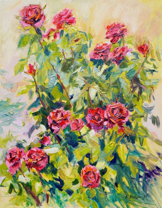 A bush of roses in a garden