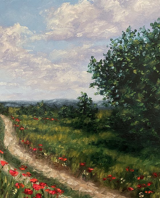 Poppy field