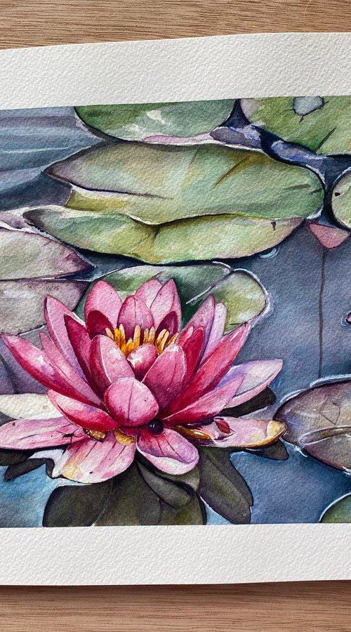 “Peace” lily pads watercolour painting by Bethany Taylor