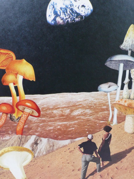 Not mushroom left on Earth A3 Collage