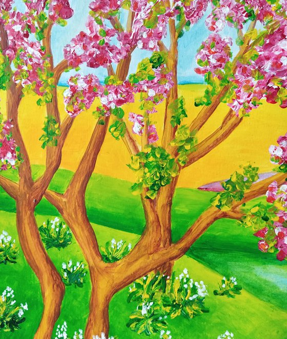 Blossomnig cherry trees