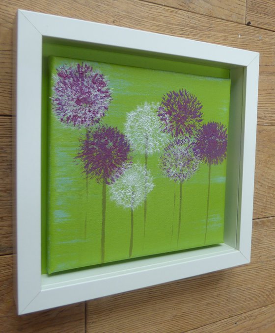 Alliums on green