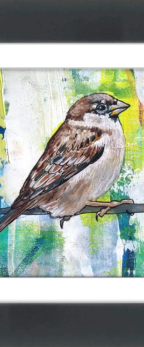 Mr Sparrow - framed and ready to hang by Carolynne Coulson