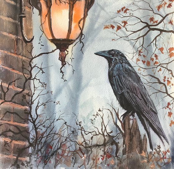 The Ravens