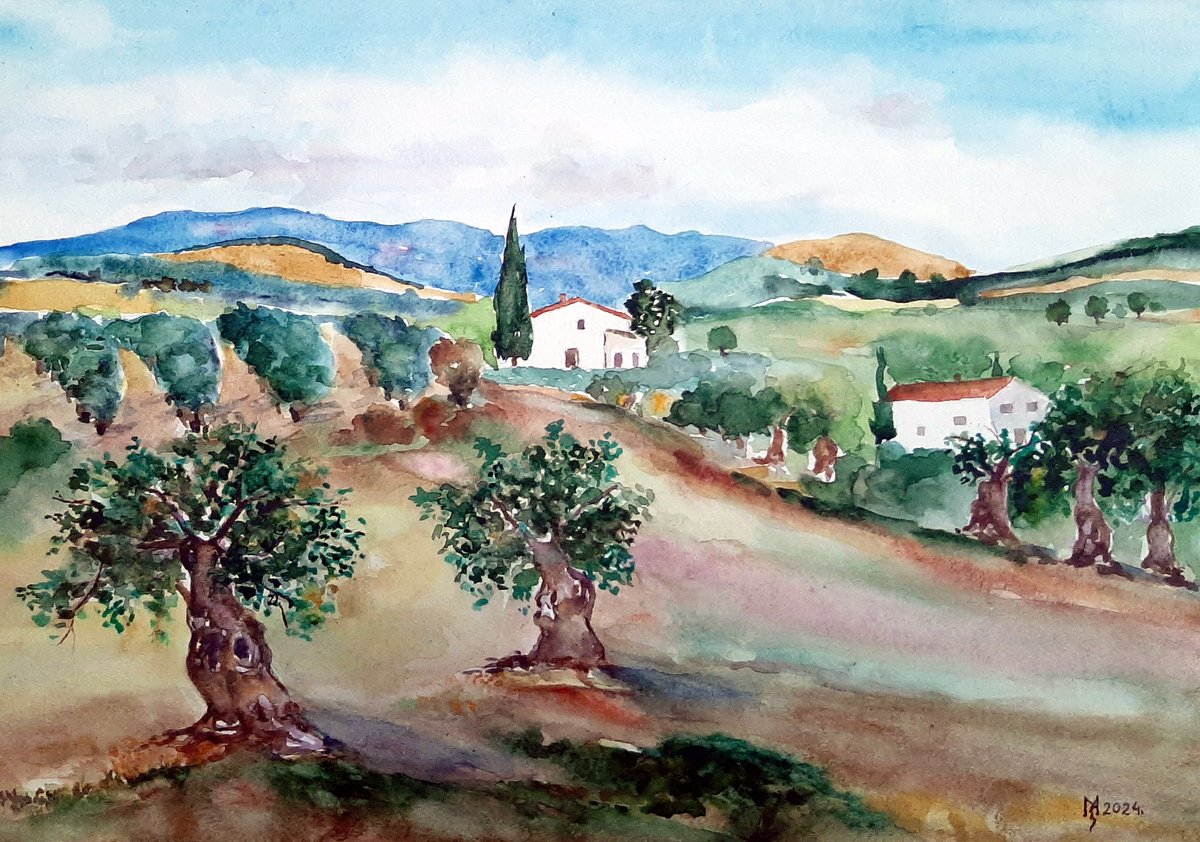 Impressionistic Watercolour , Landscape With Olives By Zoran Mihajlovic Muza, 16 X 11, Artwork For Sale On Artfinder