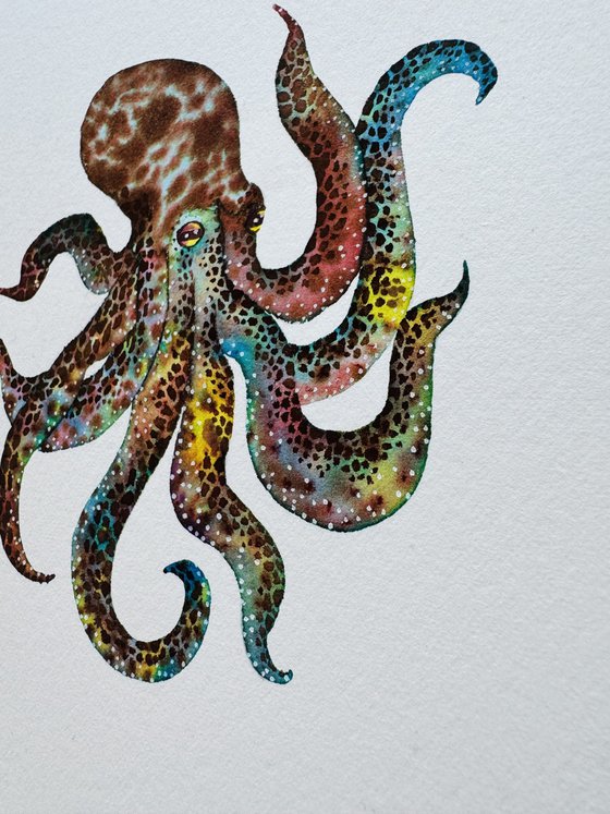 Original Watercolour Octopus