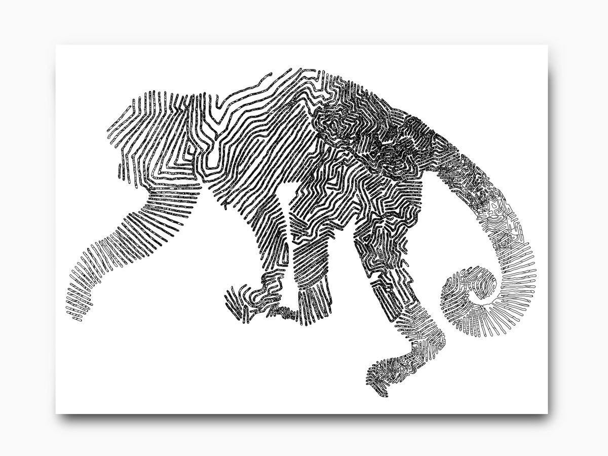 Monkey: Framed Artwork, 16 x20 inches(40x50cm) by Jeff Kaguri