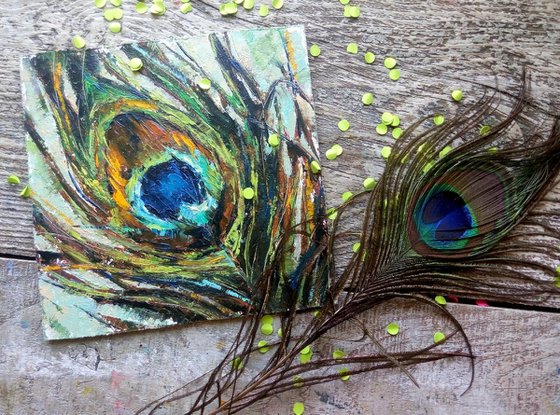 Peacock feather