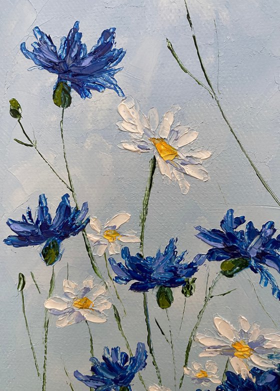 Cornflower-daisy field