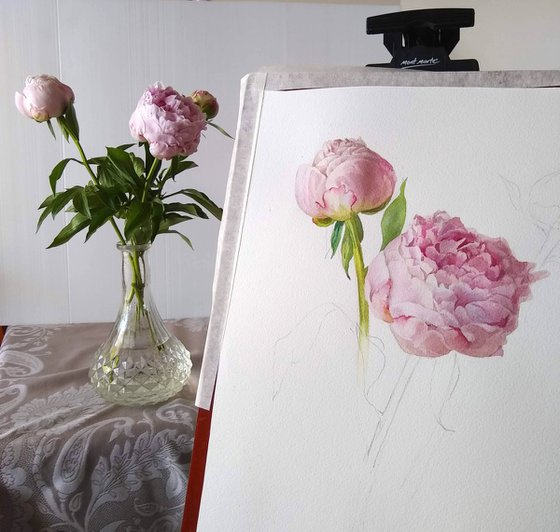 Peonies