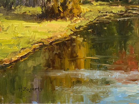 Autumn Pond Reflections