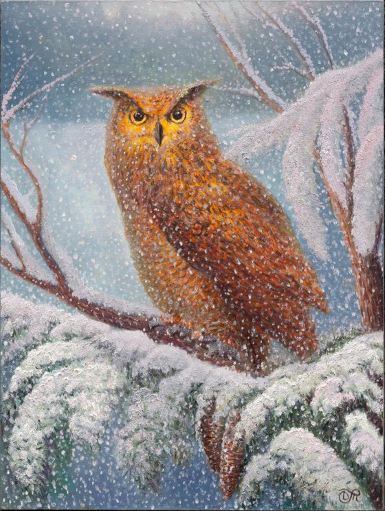 Owl in the forest