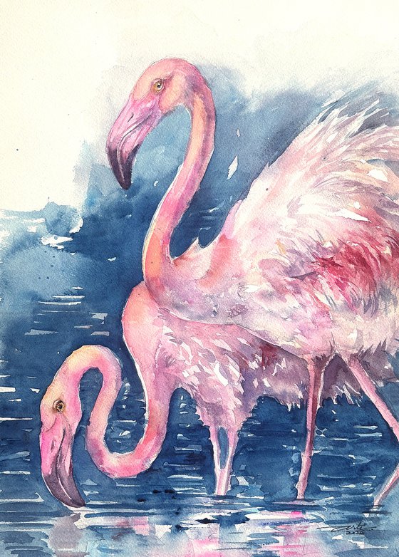 Flamingo Reflections