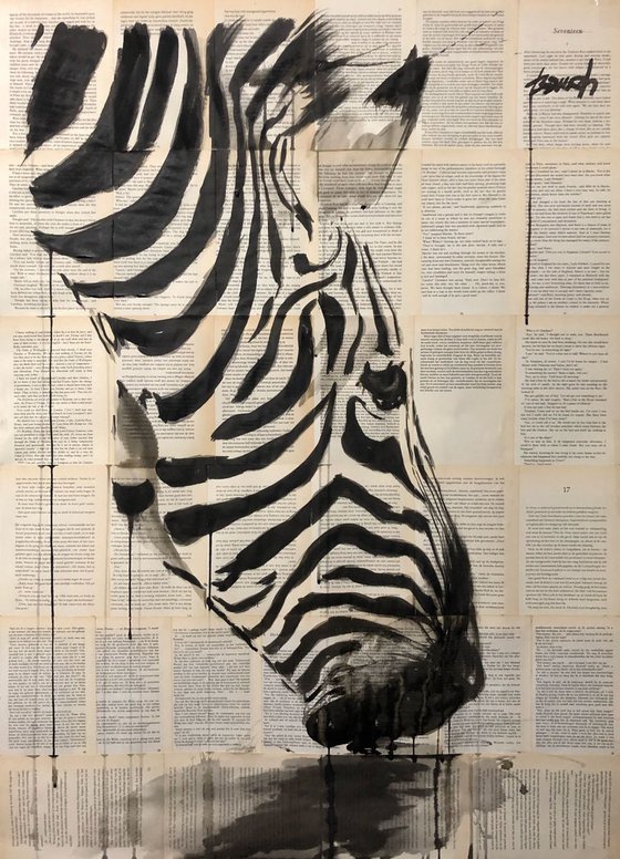 Zebra #002