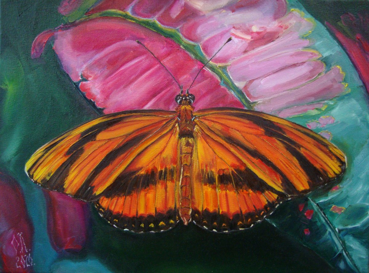 Lovely butterfly by Olga Knezevic