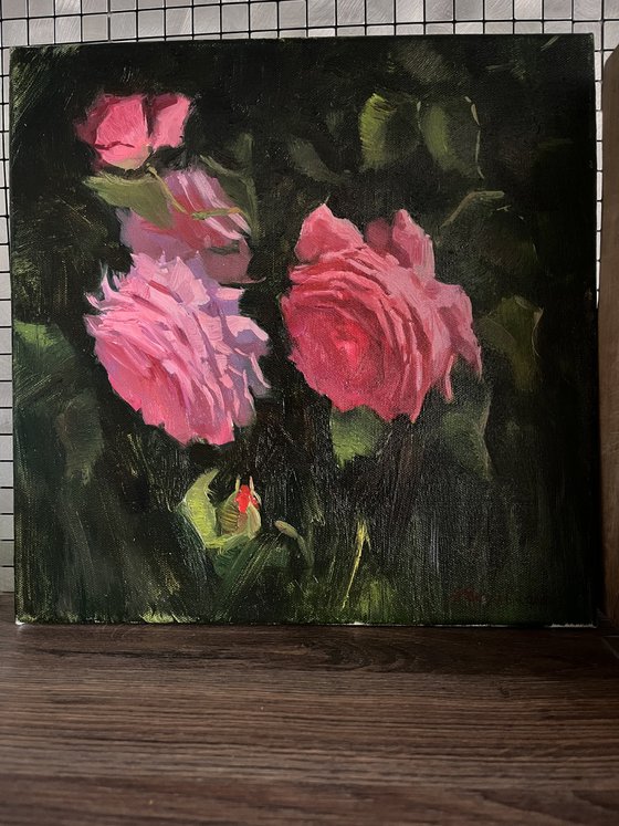 Pink Roses