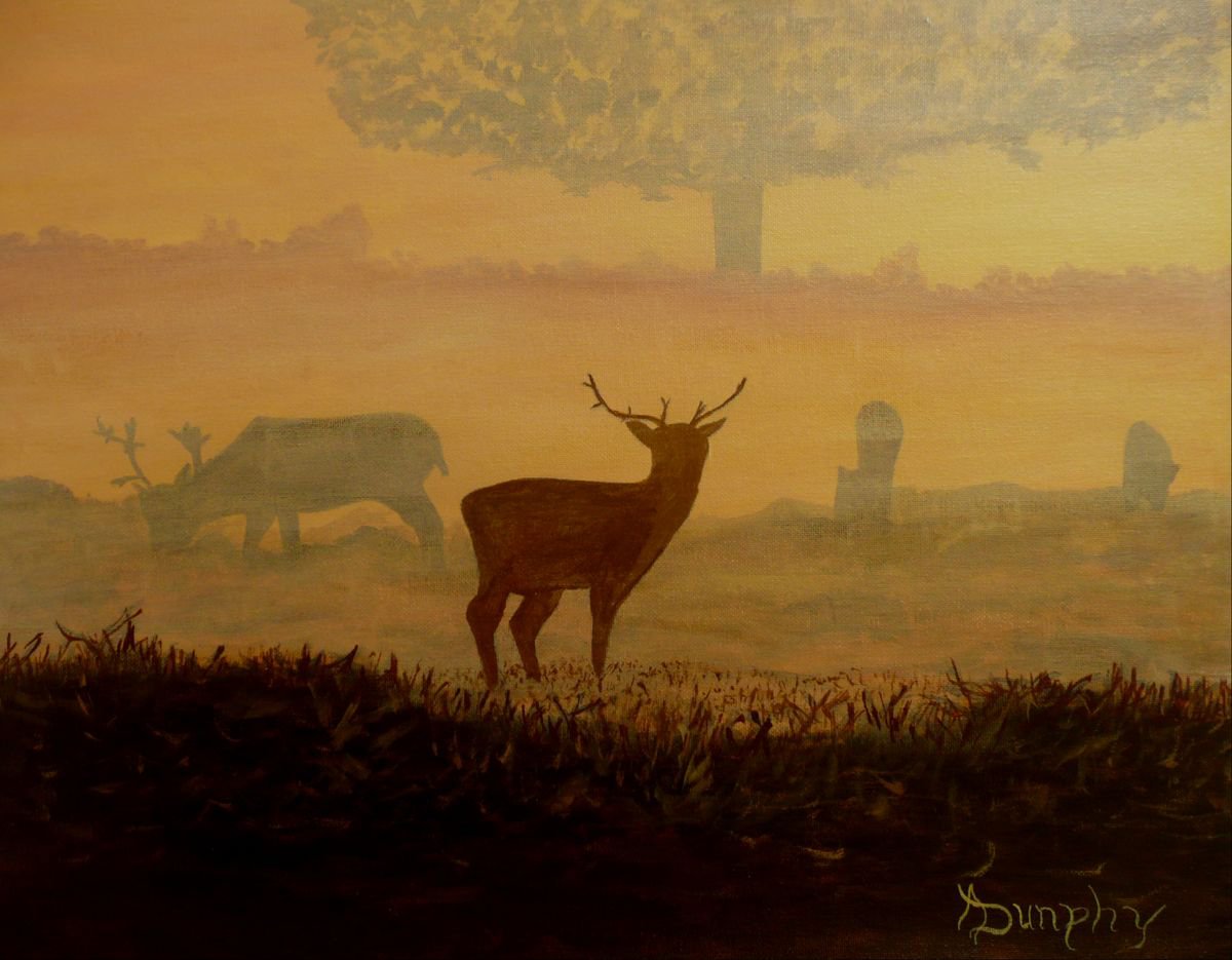 Misty Morning by Dunphy Fine Art
