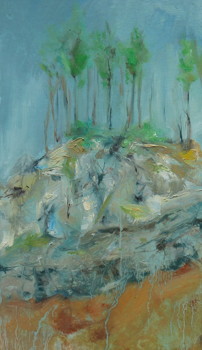 Trees, rocks and ferns by Claire Williamson